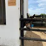Casa Pedra Rosa - Vinhas De Nexe Hébergement de vacances