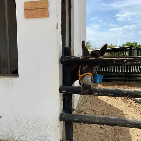 Casa Pedra Rosa - Vinhas De Nexe Nyaraló