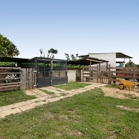 Casa Pedra Rosa - Vinhas De Nexe Nyaraló Faro