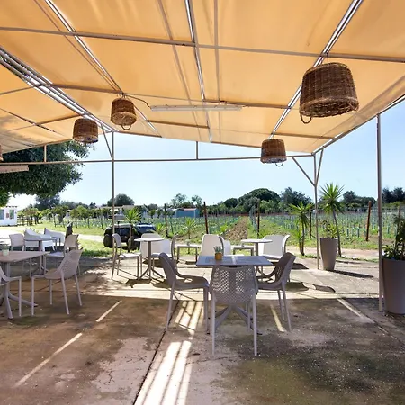 Casa Pedra Rosa - Vinhas De Nexe